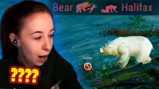 BEARS IN PUBG?! 😂