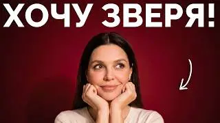ПОЧЕМУ красивые женщины БЕЗ УМА от «плохих парней»?