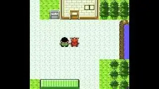 Pokemon Crystal Disguise Master P.1 (The World of Disguise!)