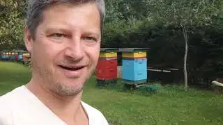 WeSendit Token Community Sale, ein voller Erfolg 🔝✅💰