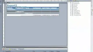 Reports - parameters