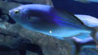CIMG0363