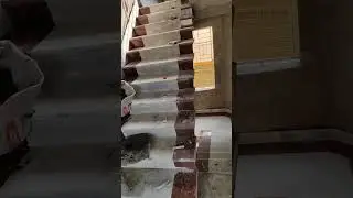 #short#video#reels#Rantu's special 🥰,,,,,,,,