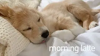 [Eng cc] 모닝라떼 Morning latte