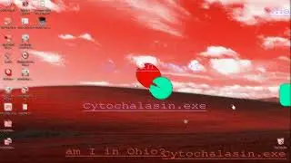 Cytochalasin.exe short HSL Trojan