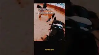 ⚡я всегда онлайн в телеграме - @eqvirey