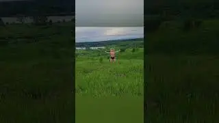 лето...