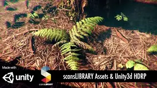 3D Scanned Assets & Unity3d HDRP Workflow, Step-by-Step Tutorial