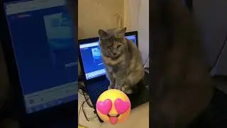 В семье должен работать мужчина.
