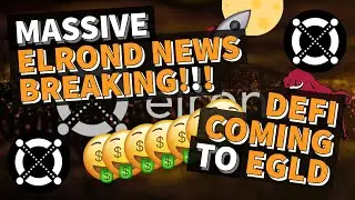 MASSIVE ELROND NEWS!!! DEFI COMING TO EGLD | PRICE PREDICTION 2021 | GET RICH WITH CRYPTOCURRENCY