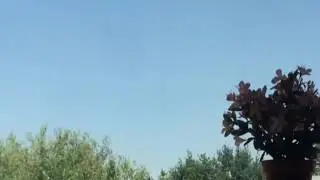НЛО в Ташкенте/UFO in Tashkent/Uchar likopcha