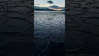 Ice pancakes are formed when the foam floating on the water’s surface freezes 🧊 #Shorts #Science