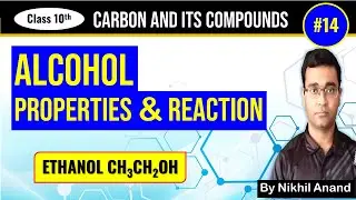 Alcohol Properties And Reaction | Carbon and Its Compounds | Class 10 Science Chapter 4 Part 14