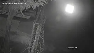 Imagini de la Accidentul din 2 MAI