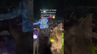Ya ponganme Música de 