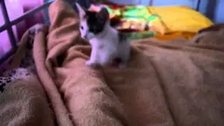 DSC 0663