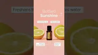 There's Nothing Like It! 🍋 