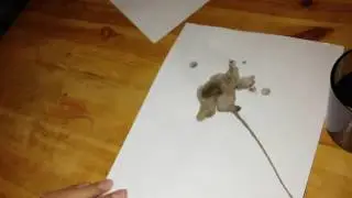 Опыт - смачивание