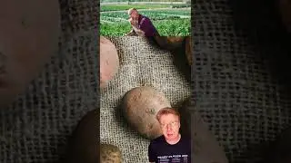 Закон суров но это закон