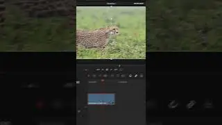 How To Smooth Out Your Animations In Davinci Resolve 
