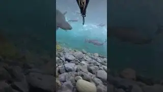 ОЧЕНЬ ОПАСНАЯ РЫБАЛКА НА ПЛАТО ПУТОРАНА