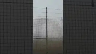 EXTREME FOG at Bristol Airport 