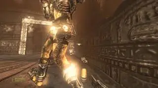 avp 2