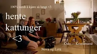 kjøre 5 timer for å hente kattunger ♡ - Oslo -- Kristiansand