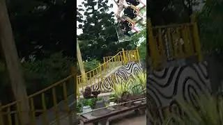 # Amazing Rides🐉🐉🐉
