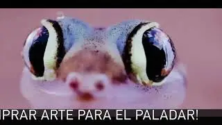 Teaser Faro De Ocor
