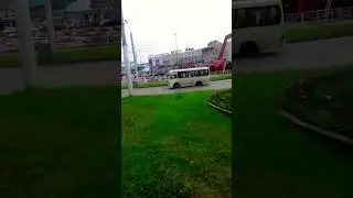 Зелень в городе Барнаул