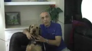 Prostate Cancer