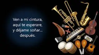 Dueña De Mi Cuerpo Orquesta Bronco (Letra) #salsa #salsaromantica