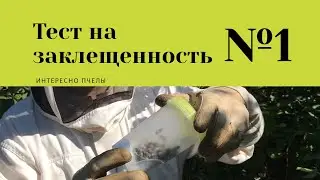 ЭФФЕКТИВНЫЙ ТЕСТ НА ЗАКЛЕЩЕННОСТЬ ПЧЕЛ / ВАРРОАТОЗ ПЧЕЛ ДИАГНОСТИКА