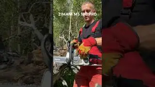 #zimani #stihl #бензопилы #husqvarna