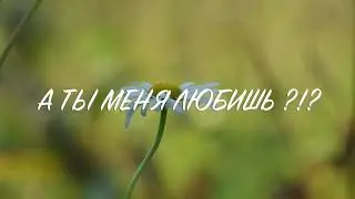 А ты меня любишь? Ага! Детская