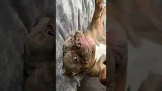 чил по жизни 😄