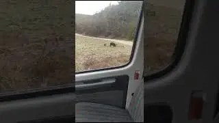 мама с детьми 🤩