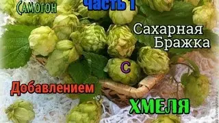 Самогон Сахарная брага с добавлением хмеля.Часть 1