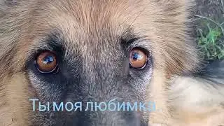 Самые красивые глазки.. Как их не любить...