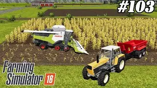 FS 16. Timelapse # 103. Corn harvest. Selling milk and wool.