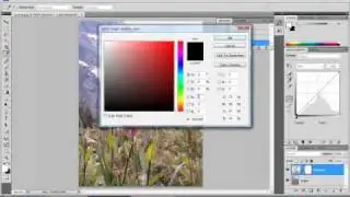 Portfolio Prep in Photoshop