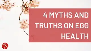 Egg Health: Debunking 4 Myths and Unveiling Truths