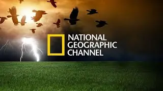 شاهد ماذا قال العالم اليابانيचले عن قدرات الأم الخارقة(مقابلة حصريا على ناشونال جيوغرافيك)👀❤️‍🔥