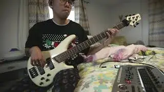 Bass Guitar Jam in Am