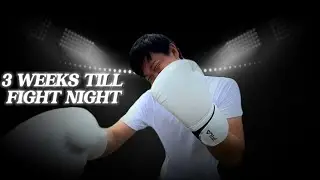 3 Weeks Till Fight Night - Intro