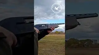 Огонь из ружья. Патроны Рекорд и Caesar Guerini 