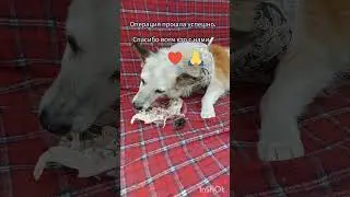 17 сентября 2024г