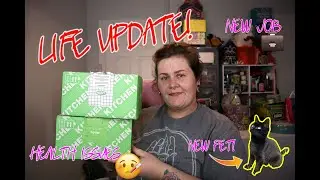 LIFE UPDATE AS I UNBOX 2 LUSH KITCHEN BOXES | Where have I been?