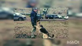 #когда хозяин не отдает игрушку#😔😔🧐